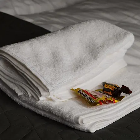 Lägenhet Ama Amali - Modernes Mit Balkon & Parkplatz - Ideal Fuer Business & Komfort